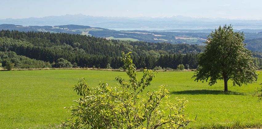 Aussicht Höchsten.jpg